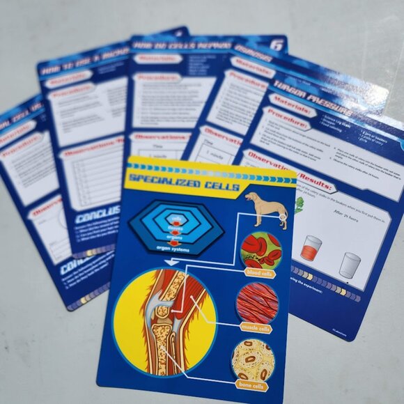 Lakeshore Cells and Organisms Activity Book Set Kit Plant Animal Model Biology M - Picture 11 of 16